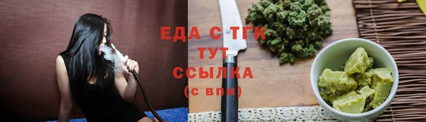 индика Сосновка