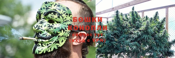 сатива Абдулино