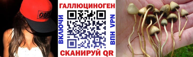 Псилоцибиновые грибы Psilocybe  Белый 
